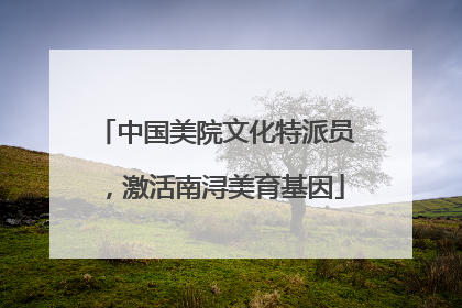 中国美院文化特派员，激活南浔美育基因