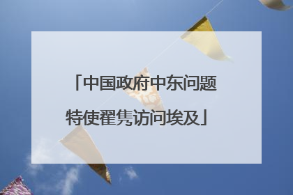 中国政府中东问题特使翟隽访问埃及