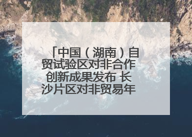 中国（湖南）自贸试验区对非合作创新成果发布 长沙片区对非贸易年均增长141%