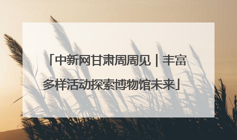 中新网甘肃周周见｜丰富多样活动探索博物馆未来