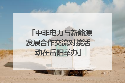 中非电力与新能源发展合作交流对接活动在岳阳举办