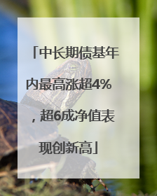 中长期债基年内最高涨超4%，超6成净值表现创新高