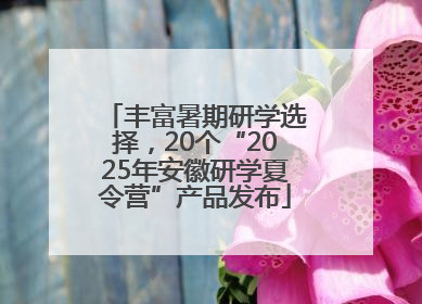 丰富暑期研学选择，20个“2025年安徽研学夏令营”产品发布