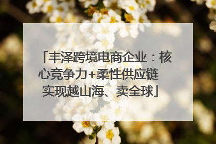 丰泽跨境电商企业：核心竞争力+柔性供应链 实现越山海、卖全球