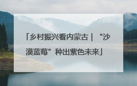 乡村振兴看内蒙古｜“沙漠蓝莓”种出紫色未来