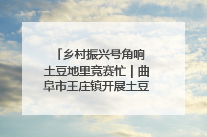 乡村振兴号角响 土豆地里竞赛忙｜曲阜市王庄镇开展土豆收获劳动竞赛