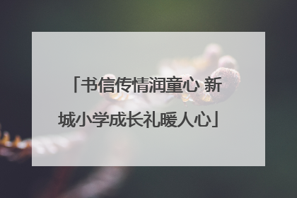 书信传情润童心 新城小学成长礼暖人心