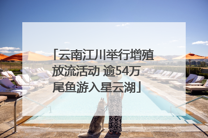 云南江川举行增殖放流活动 逾54万尾鱼游入星云湖
