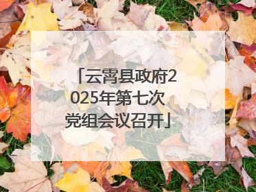 云霄县政府2025年第七次党组会议召开