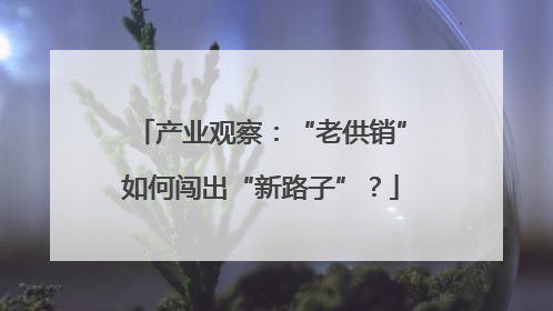 产业观察：“老供销”如何闯出“新路子”？