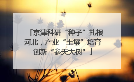 京津科研“种子”扎根河北，产业“土壤”培育创新“参天大树”
