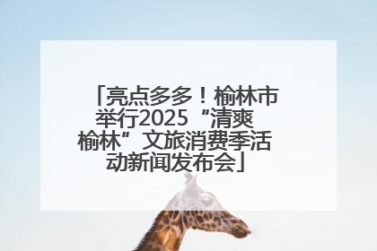 亮点多多！榆林市举行2025“清爽榆林”文旅消费季活动新闻发布会
