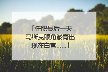 任职最后一天，马斯克眼角淤青出现在白宫……