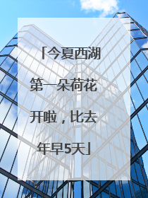 今夏西湖第一朵荷花开啦，比去年早5天