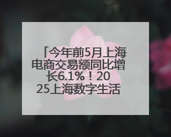 今年前5月上海电商交易额同比增长6.1%！2025上海数字生活节开幕