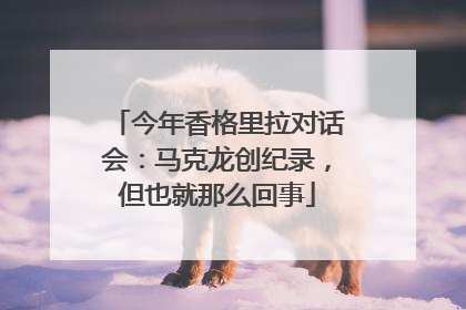 今年香格里拉对话会：马克龙创纪录，但也就那么回事