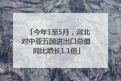 今年1至5月，河北对中亚五国进出口总值同比增长1.1倍