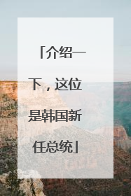 介绍一下，这位是韩国新任总统