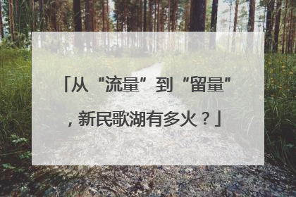 从“流量”到“留量”，新民歌湖有多火？