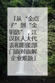 从“金点子”到“金钥匙”，江汉区人大代表和职能部门面对面解企业难题