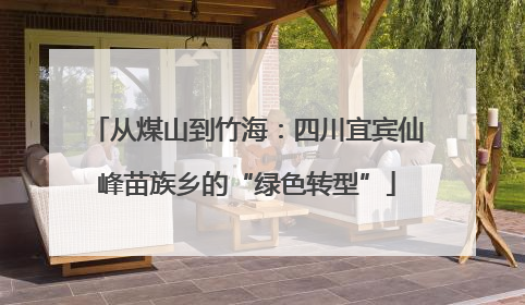 从煤山到竹海：四川宜宾仙峰苗族乡的“绿色转型”