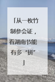 从一枚竹制参会证，看湖南节能有多“拼”
