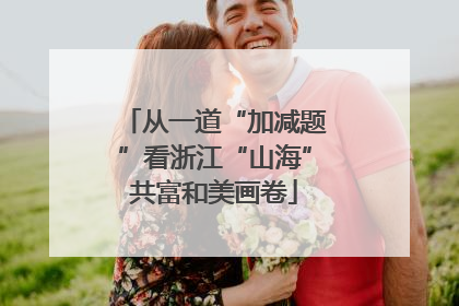 从一道“加减题”看浙江“山海”共富和美画卷