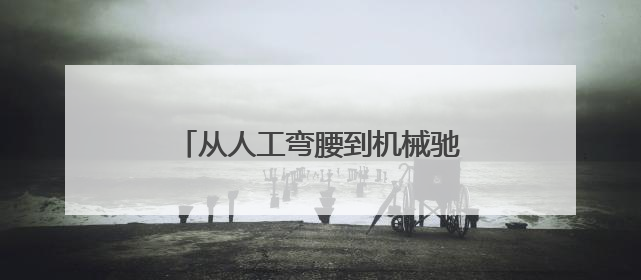 从人工弯腰到机械驰骋 即墨蓝村水稻种植开启智能农耕新模式