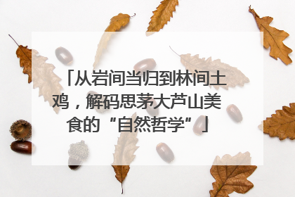 从岩间当归到林间土鸡，解码思茅大芦山美食的“自然哲学”