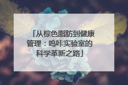 从棕色脂肪到健康管理：呜咔实验室的科学革新之路