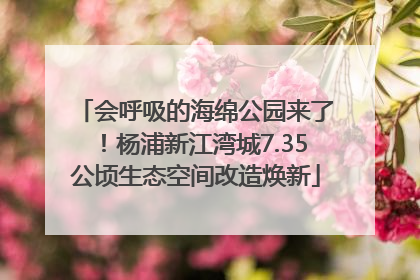 会呼吸的海绵公园来了！杨浦新江湾城7.35公顷生态空间改造焕新