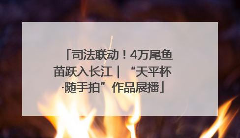 司法联动！4万尾鱼苗跃入长江｜“天平杯·随手拍”作品展播