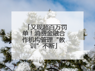 又现超百万罚单！消费金融合作机构管理“教训”不断