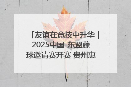 友谊在竞技中升华｜2025中国-东盟藤球邀请赛开赛 贵州惠水燃动“空中芭蕾”