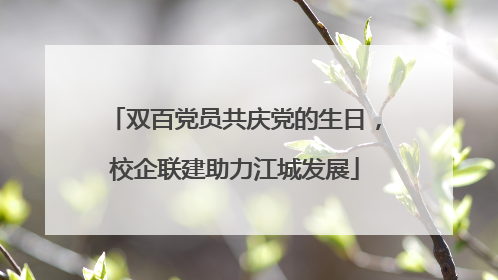双百党员共庆党的生日，校企联建助力江城发展