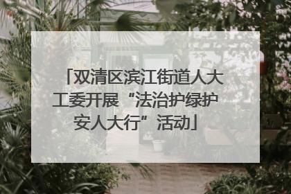 双清区滨江街道人大工委开展“法治护绿护安人大行”活动