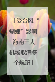 受台风“蝴蝶”影响 海南三大机场取消多个航班