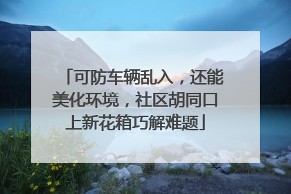 可防车辆乱入，还能美化环境，社区胡同口上新花箱巧解难题