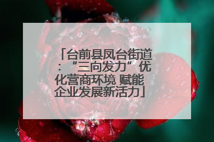 台前县凤台街道：“三向发力”优化营商环境 赋能企业发展新活力