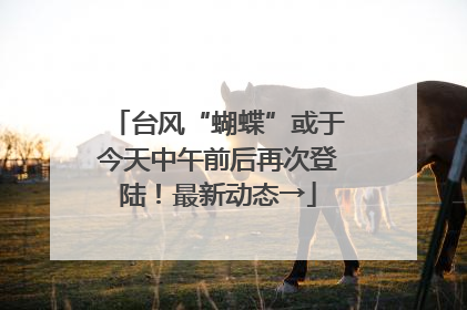 台风“蝴蝶”或于今天中午前后再次登陆！最新动态→