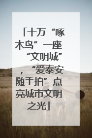 十万“啄木鸟”一座“文明城”，“爱泰安随手拍”点亮城市文明之光
