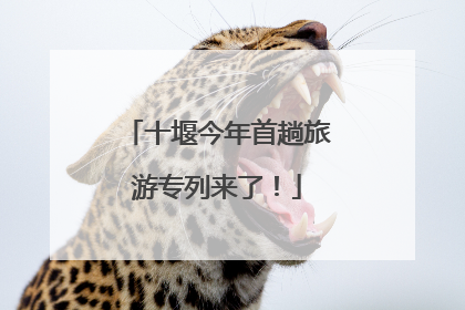十堰今年首趟旅游专列来了！