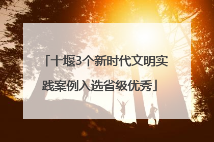 十堰3个新时代文明实践案例入选省级优秀