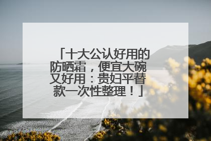 十大公认好用的防晒霜，便宜大碗又好用：贵妇平替款一次性整理！