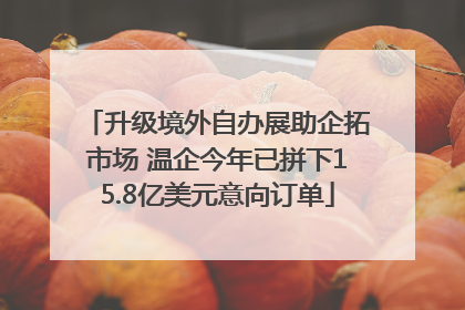 升级境外自办展助企拓市场 温企今年已拼下15.8亿美元意向订单