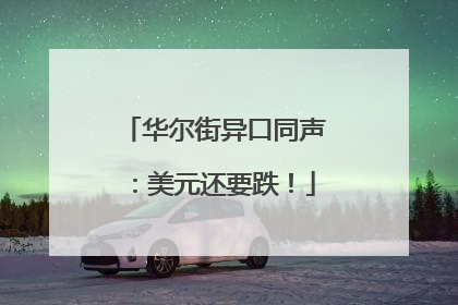 华尔街异口同声：美元还要跌！