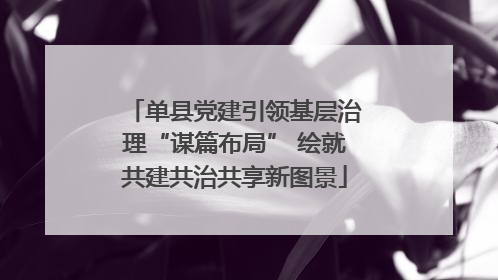 单县党建引领基层治理“谋篇布局” 绘就共建共治共享新图景