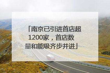 南京已引进首店超1200家，首店数量和能级齐步并进