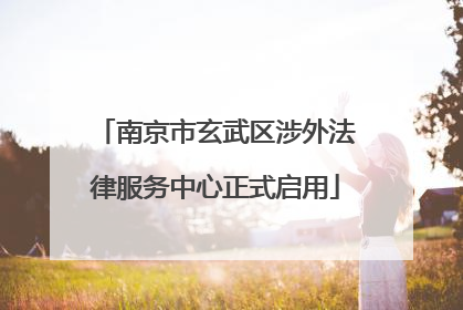 南京市玄武区涉外法律服务中心正式启用