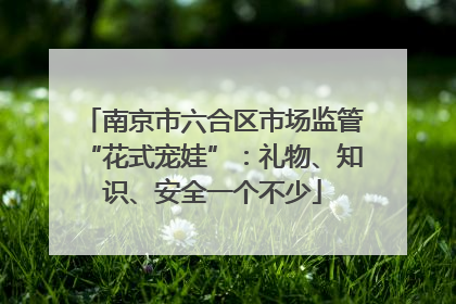 南京市六合区市场监管“花式宠娃”：礼物、知识、安全一个不少